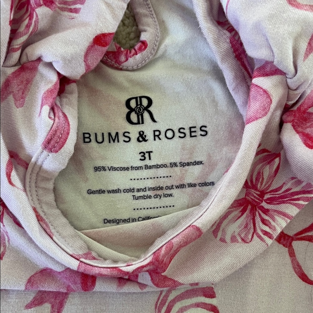 Bums and Roses Ribbon Dress - Picture 4 of 4